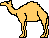 [the kaml]